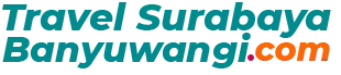 travel surabaya banyuwangi pp
